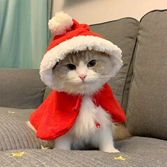 ペット用クリスマスパーティー犬マントペット猫帽子マントセット猫服ペット服