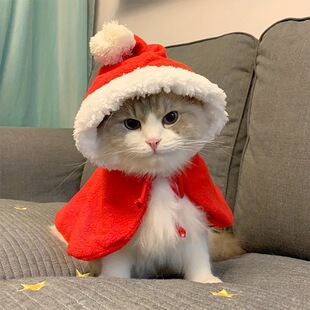 Pet Christmas Party Dog Cloak Pet Cat Hat Shawl suit Cat Costumes Pet Costumes