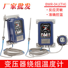 BWR(WTYK)-04ATH 04AJ ׃�����@�M�ض�Ӌ ���挣�Üؿ���BWY-804A