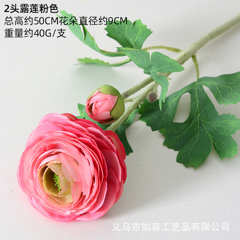 2 cabezas rosa lulian