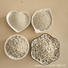 沙鱼缸底沙宠物垫砂贝壳沙寄居蟹垫材造景海沙珊瑚沙底砂天然