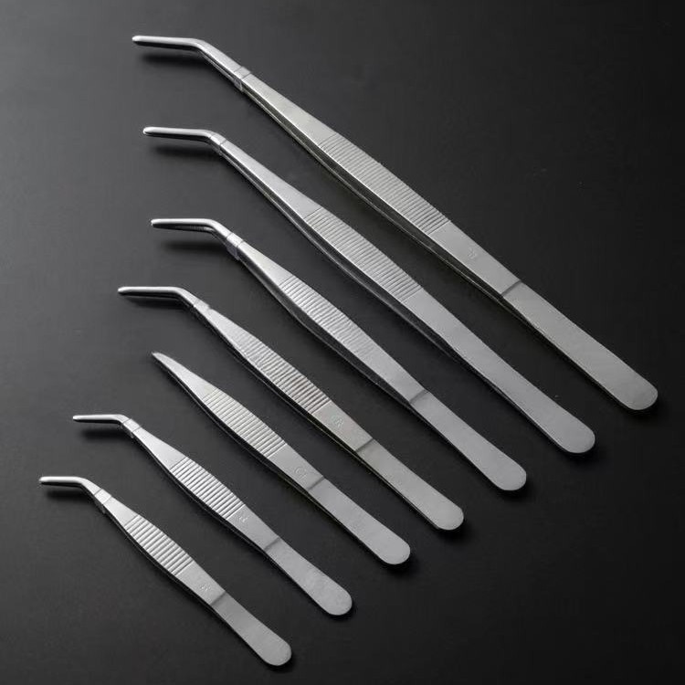 304不锈钢镊子厂家供应加厚弯头圆头园艺镊子抓蝎子夹子多肉小镊