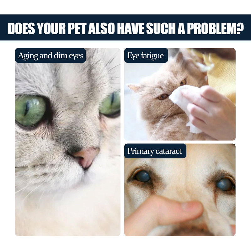 Yegbongペット目薬猫犬は涙の跡に行って目のかゆみを緩和します。|undefined