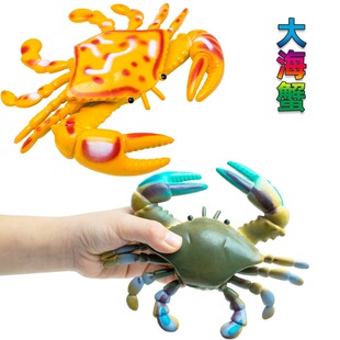 ������з���lз���ﺣ������ģ��PVC���z��ߺ�����ﺣз����