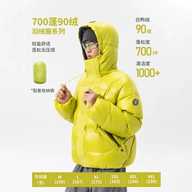 男式休闲裤;男式T恤;男式休闲短裤