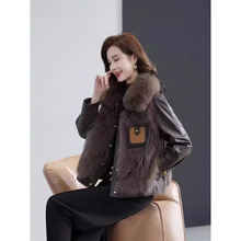 ëƤŮ¿ﶬƤƴɿ˷ë¸߼