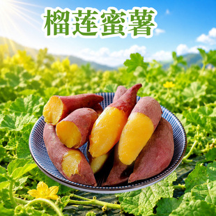 �V����ɏ���� ���l1/3/5/9����Ŵ�������Ŀ������oʳ�����r�߲�
