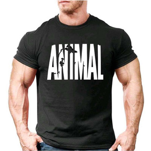 �������e�ֵܽ����\��T���ܲ�呟���ĸANIMAL�̿羳����