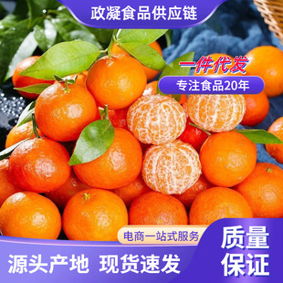 �V��ɰ���� ���l3/5��Y�Ю���С�۽۱�Ƥ��֭���rˮ�����˲��۽�