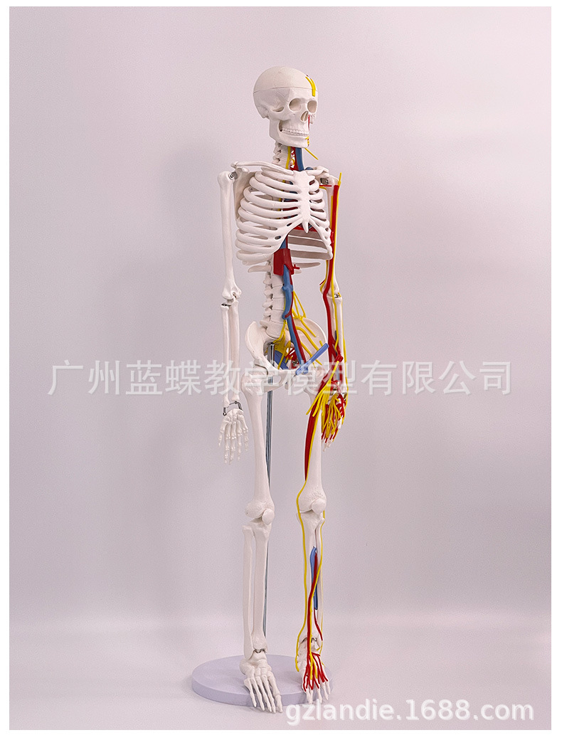详情_10