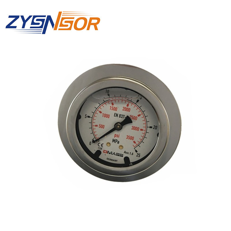 德国DMASS压力表 MBB06U-250-1-ZZZ 油压表轴向 螺纹可选带三孔边