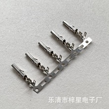 5556-T_/_MB@5557z׌ûƬӾ