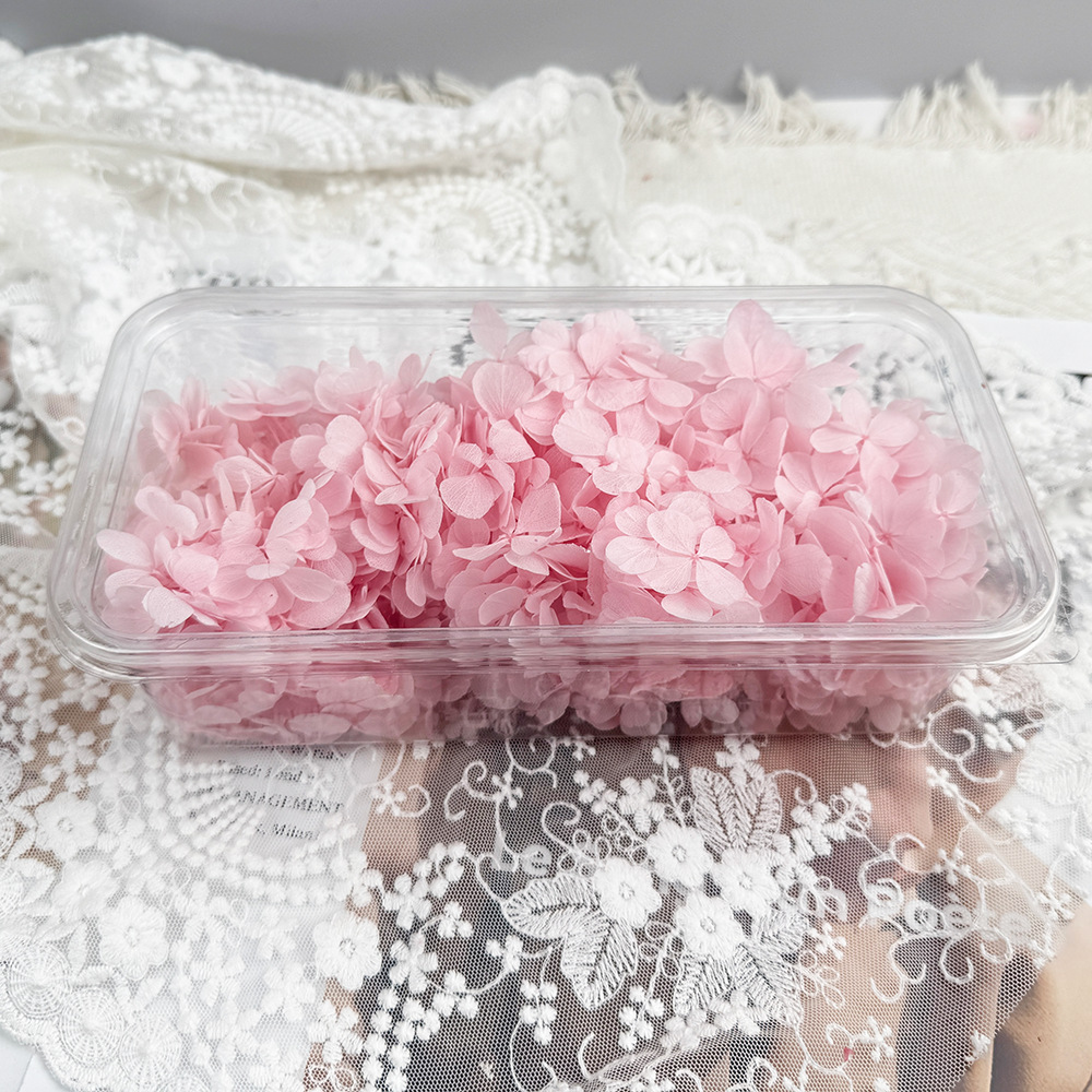 ✅ Flores secas flores eternas hortenida color gradiente material hecho a mano bolsa de calzado de boda cubierta de vidrio grupo de construcción de flores actividades