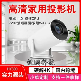 掌上游戏机;游戏手柄;家用游戏机