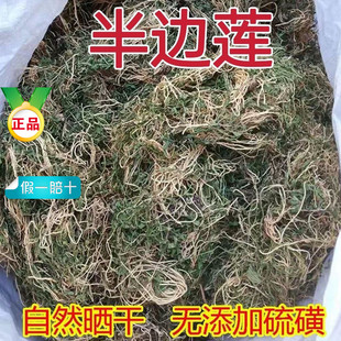 ��߅ɏ��ș��500g�� ��߅�B ���r�ؼ���؛���ʲݼ��ײ� ��Ʒ