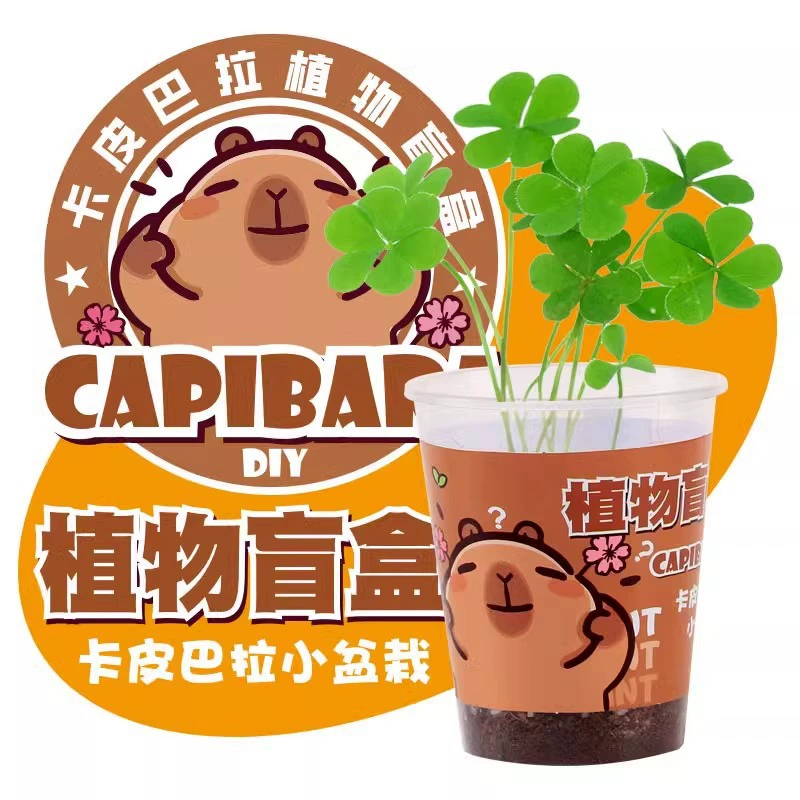 Набор для выращивания растений (Capibara) с дизайном панда — для детей/детского сада, подарок на день рождения