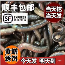 �r������������ش���S�X���w��������Ұុ��D��~�r��