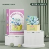 Lele Brothers 1603-02