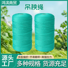 ������������K�߲��S���������������K�ӵ���ֲ��Y���O�W���K