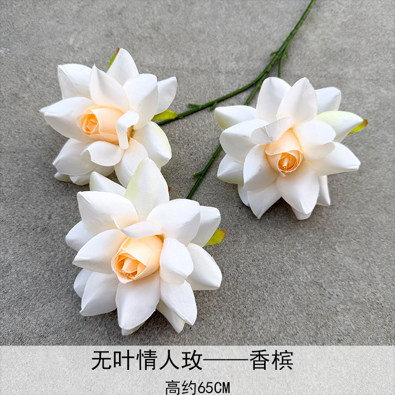 Campanés de May Lover