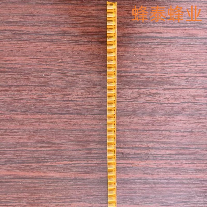 绿色红色王浆条取浆条王浆用单排工具产王浆育王条蜂具浆条王台