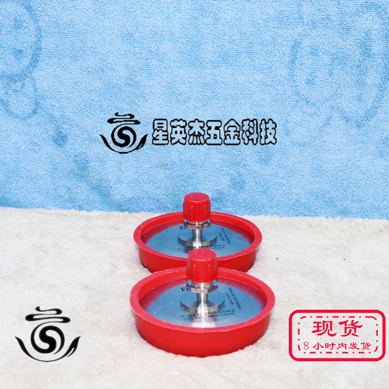 A069*ENTEGRIS CG2NDD050R2 chambergard FV50DXL气体扩散器 60 p