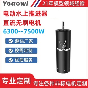 Brushless Motor High-Power Dc High-Torque Turbofan Powered Aircraft Booster Car and Ship Model Waterproof Motor