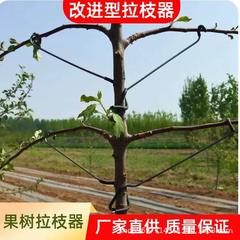 Фруктовое дерево стягивание ветки стеллажи яблоко улучшенный тип стягивания ветки ветки груши