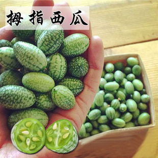 ΢��Ĵָ���ϷN������ˮ��С�����S�� �����N�̨�����߲��ļ��N