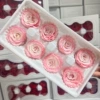 A box of 4-5CM Miss Qianzhu