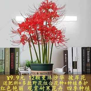 ��12�w�˰����؃r���������N�򻨻ܼt��ʯ�������_�ͺ����B���_��