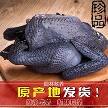 ɢ�B�����u�F�����r���u�r�Ҟ��uС���u���u���r��ĸ�u�ߵ��u��ֻ
