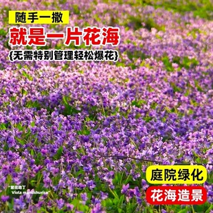 �N�����ļ����ѷN�������ϻ��ض����N�ѷNֲ�G����ض��ϻ��ض���