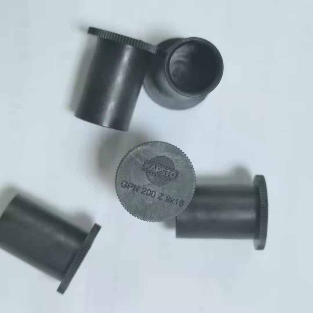 德国KAPSTO 塑料堵头 KAPSTO GPN 200 Z 9x16   Z 14 x 10