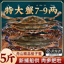 ����з�ش�Ұ����ɽ���з�����䶳��з����ˮ����з��з��з˳��