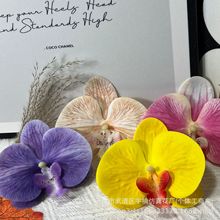 ������m���滨3D��ӡ�zƬ���^�L�η���ֶYDIY�Y���b�Ь���^�