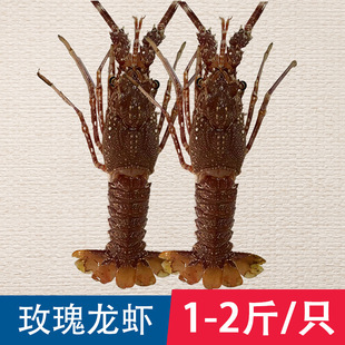 õ���� Īɣ�ȿ�õ�����r �͏dʳ�Ĵ������r����������r1-2��/ֻ