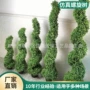 米兰螺旋蛇形人造盆景