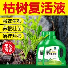 植物复活液生根剂壮苗剂树木营养液吊针液死枯树活力素药水