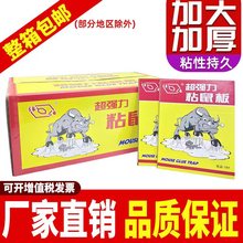 现货批发加厚强力老鼠贴家用诱饵引诱捕鼠粘鼠整箱包邮粘鼠板杀虫
