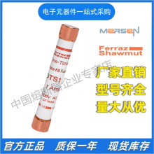 MERSEN ����˿��о OTS110   OTS125   OTS150  OTS175  250V