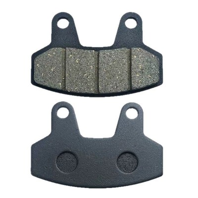 Brake Performance Electric Vehicle, Other Electric Vehicle Accessories