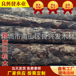 �����m��ľ���  �M����ľ ����ľݗ���ɟo���Ĺ���ľ�����߶� ��