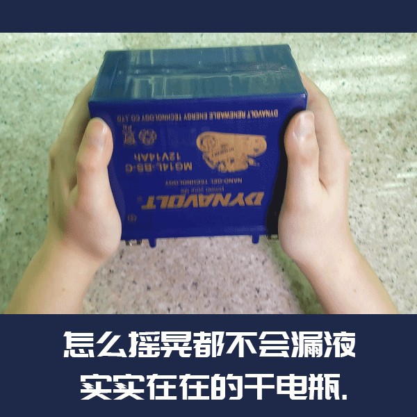 Batería de motocicleta de león para brisa de primavera Benelli Harley BMW 125 pedal hawk Kawasaki 12V batería