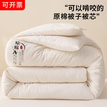 特价被子冬被厚款棉被羽丝纤维被子冬天被芯加厚保暖8斤10斤被褥