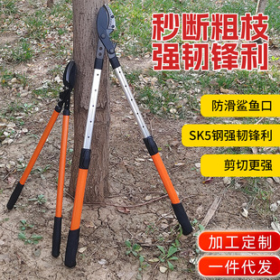 Garden Pruning Shears, Extendable High Branch Shears, Pruning Scissors for Branches, Wet and Dry Pruning, Floral Shears, Fruit Branch Shears, Labor-Saving