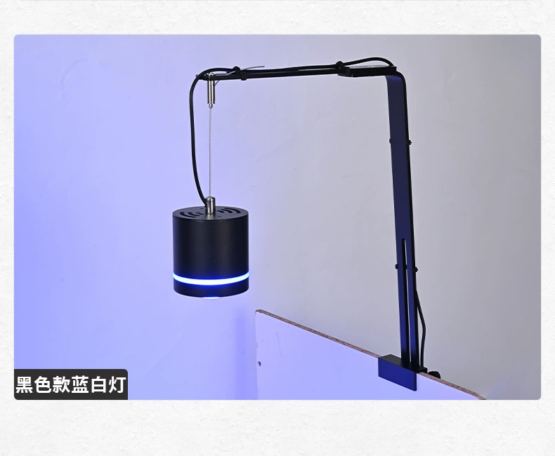 LED