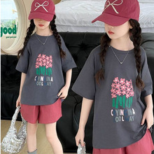 Ůͯ���b���e���b2025�¿��д�ͯ���s���ӡ������̿�Ƀɼ���