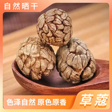 �ݿܲݹ��ݶ�ޢ��؛�����uζ�����{�ϰ����������ϴ����u�ϬF؛