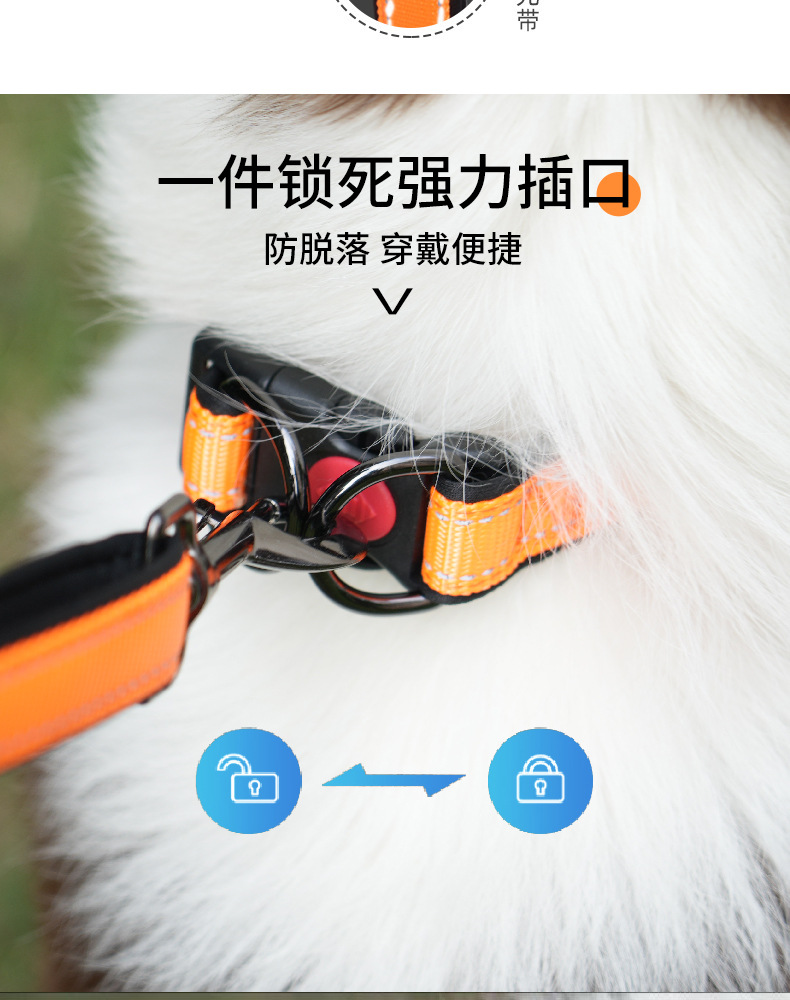 狗绳_03.jpg